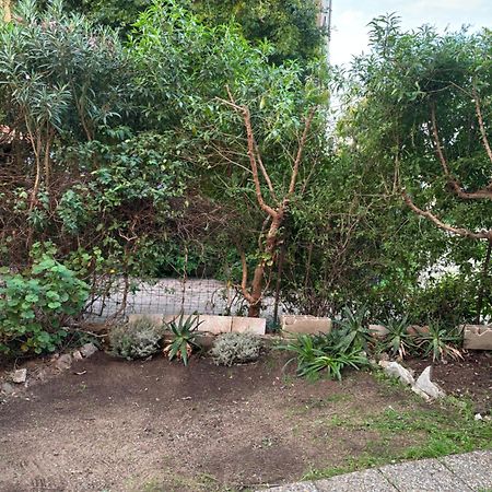 Appartamento Con Giardino A 50 M Dal Mare LʼÎle-Rousse Kültér fotó