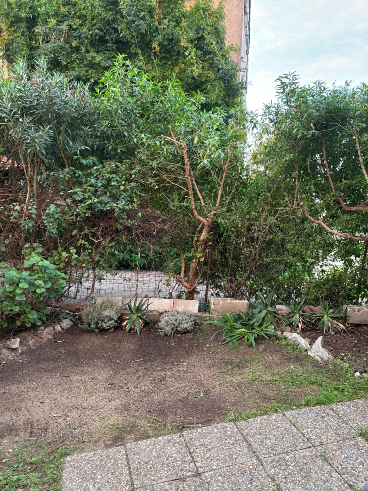 Appartamento Con Giardino A 50 M Dal Mare LʼÎle-Rousse Kültér fotó